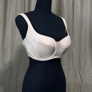 HSIA 34DDD Bra